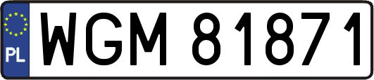 WGM81871