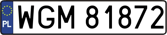 WGM81872