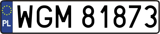 WGM81873