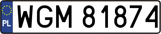 WGM81874