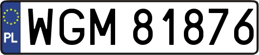 WGM81876