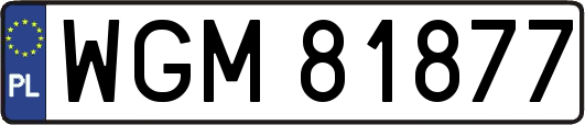 WGM81877