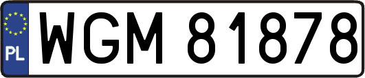 WGM81878