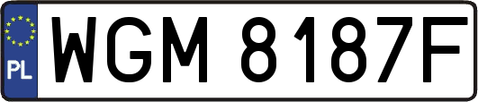 WGM8187F