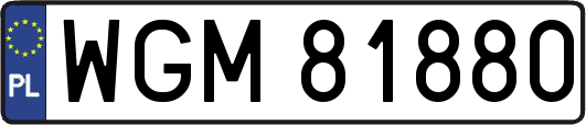 WGM81880