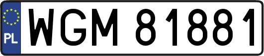 WGM81881