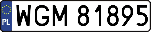 WGM81895