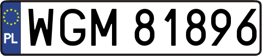 WGM81896