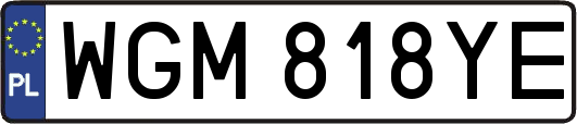 WGM818YE