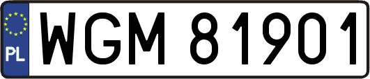 WGM81901