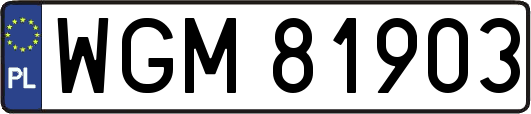 WGM81903