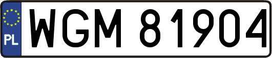 WGM81904