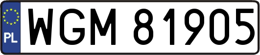 WGM81905