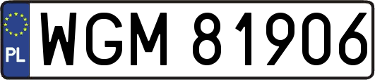 WGM81906