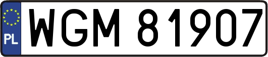 WGM81907