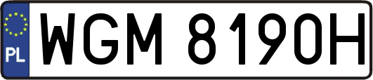 WGM8190H