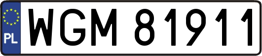 WGM81911