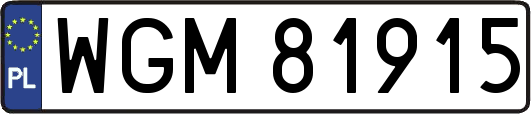 WGM81915