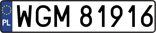 WGM81916