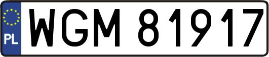 WGM81917