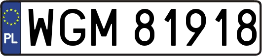 WGM81918