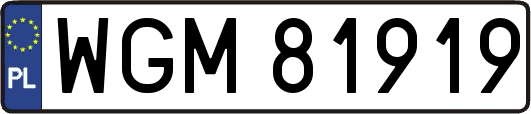 WGM81919