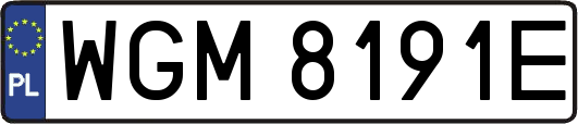 WGM8191E