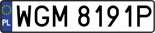 WGM8191P