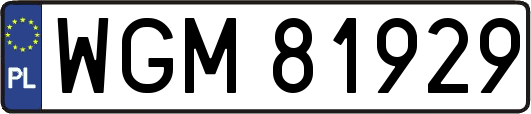 WGM81929