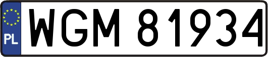 WGM81934