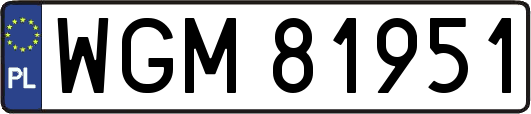 WGM81951