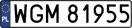 WGM81955