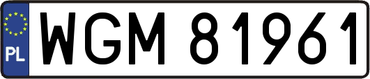 WGM81961