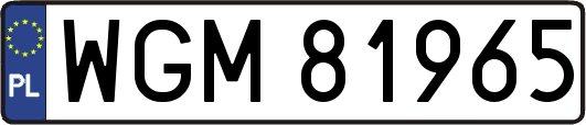 WGM81965