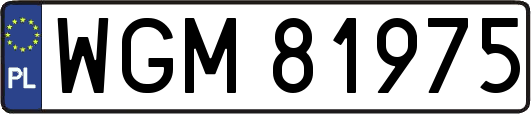 WGM81975