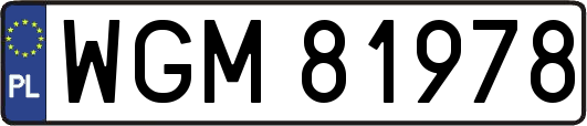 WGM81978