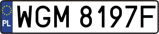 WGM8197F
