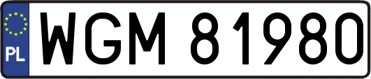 WGM81980