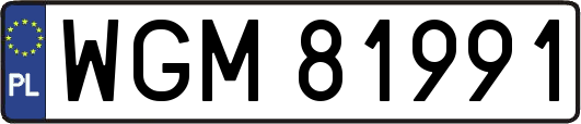 WGM81991