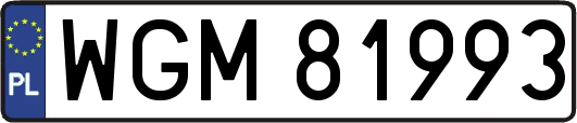 WGM81993