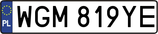WGM819YE