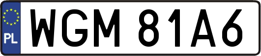 WGM81A6
