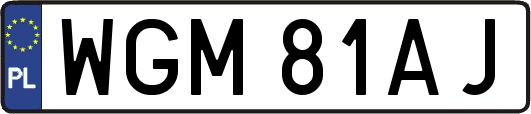 WGM81AJ