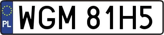 WGM81H5