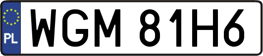 WGM81H6