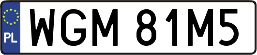 WGM81M5