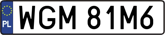 WGM81M6
