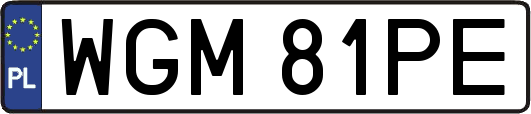 WGM81PE