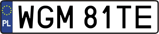 WGM81TE