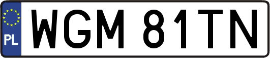 WGM81TN
